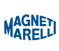 Magnet